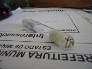 dengue 2