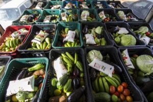 As cestas contém dez quilos de verduras, legumes, frutas e leite, pelo preço simbólico de R$ 4,00