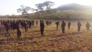 13699554_284555625269036_1901079371_o